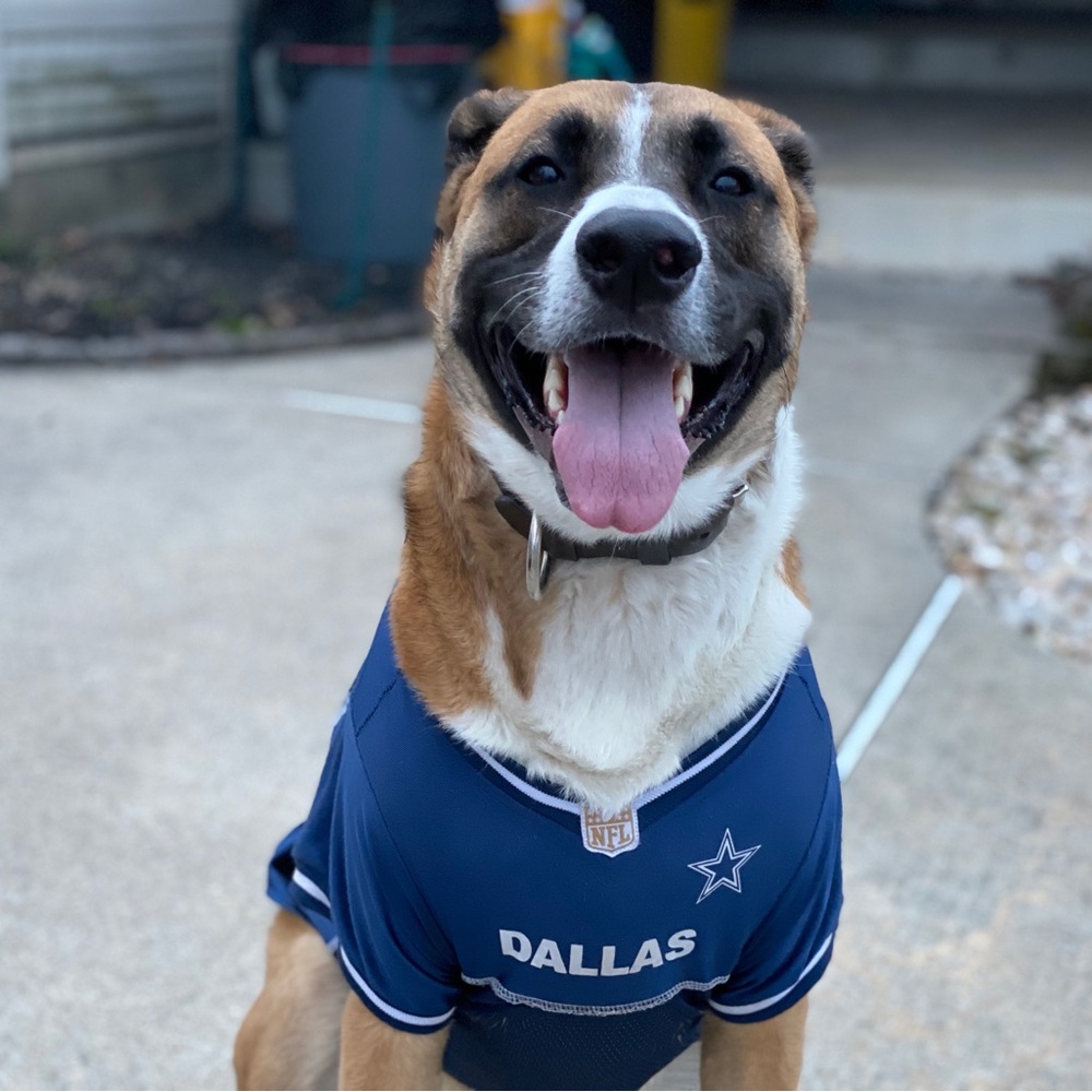 Meet your Posher, Michael